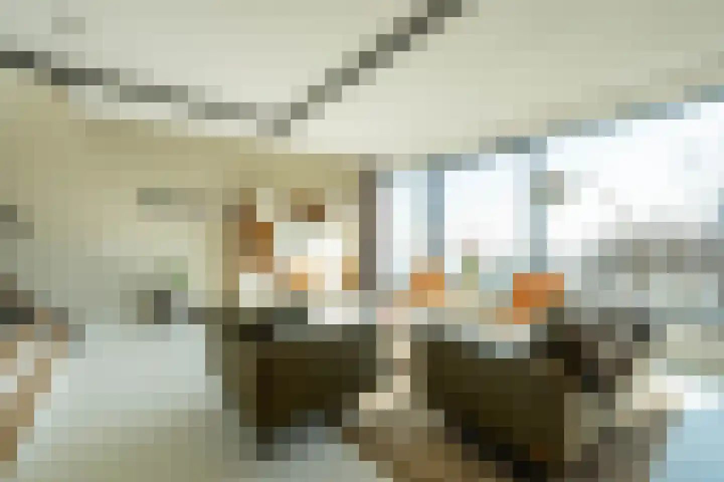 Smalschipstraat 29 Amsterdam thumbnail 14