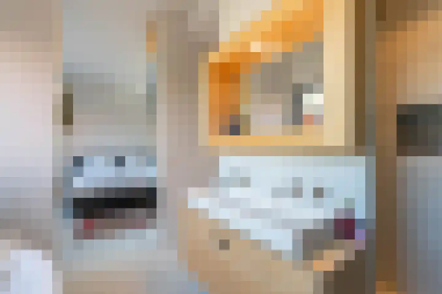 Smalschipstraat 29 Amsterdam thumbnail 29
