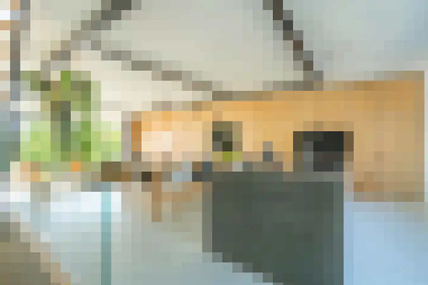 Smalschipstraat 29 Amsterdam thumbnail 6
