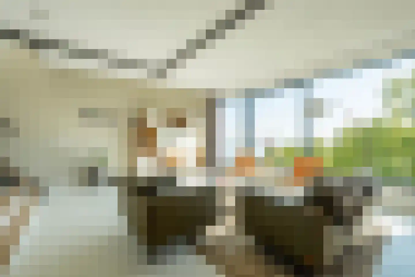 Smalschipstraat 29 Amsterdam thumbnail 8
