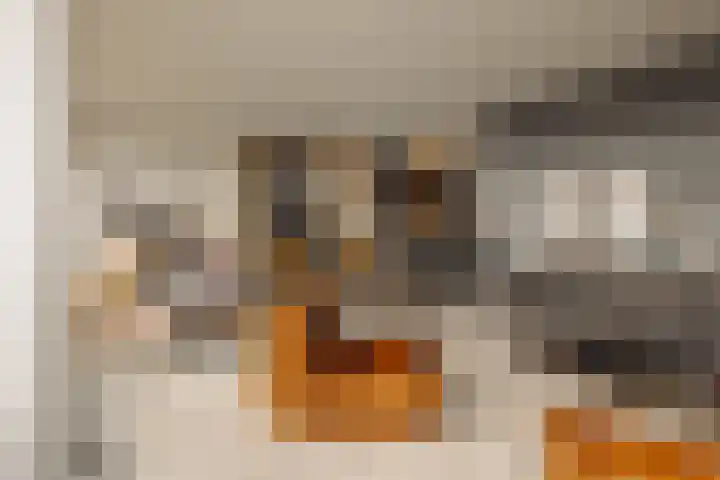 Smalschipstraat 31 Amsterdam thumbnail 17