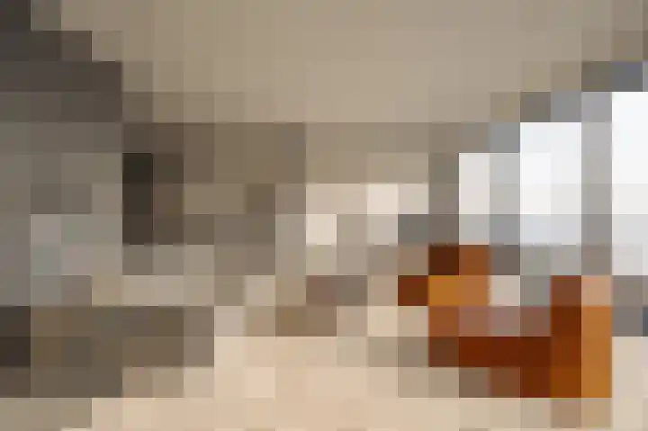 Smalschipstraat 31 Amsterdam thumbnail 20
