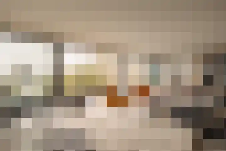 Smalschipstraat 31 Amsterdam thumbnail 25