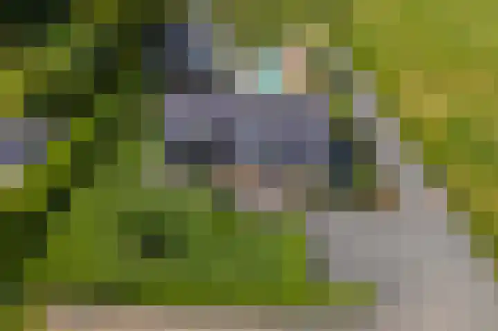 Smalsteeg 3 en Haaften