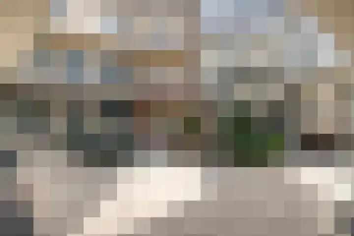 Smalstraat 31 F Oss thumbnail 10