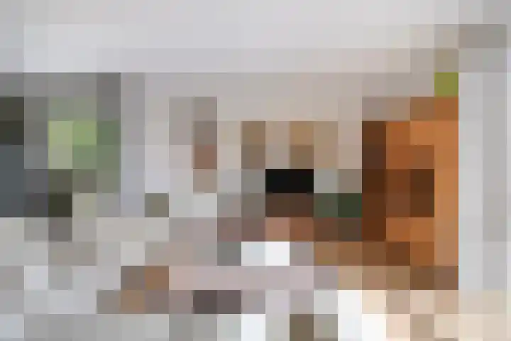 Smalstraat 31 F Oss thumbnail 16
