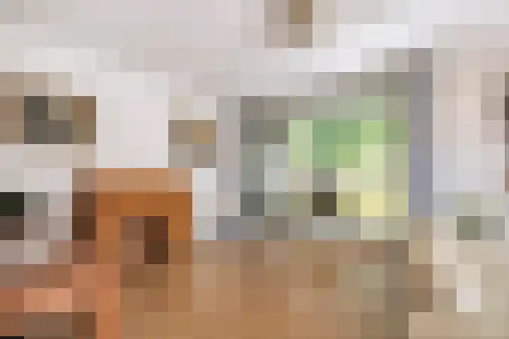 Smalstraat 31 F Oss thumbnail 18