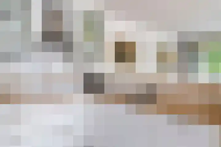 Smalstraat 31 F Oss thumbnail 21