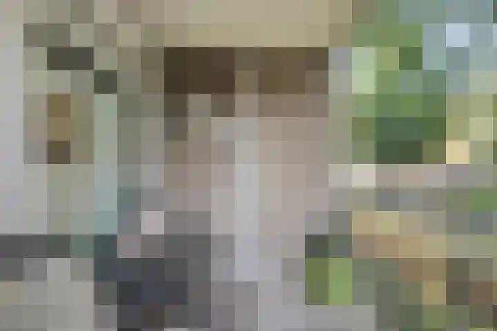 Smalstraat 31 F Oss thumbnail 29