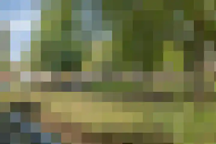 Smalstraat 31 F Oss thumbnail 31