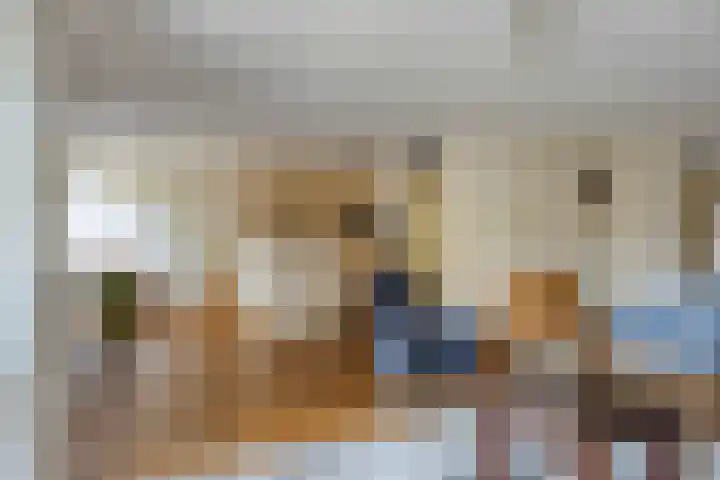 Smalstraat 33 E Oss thumbnail 10