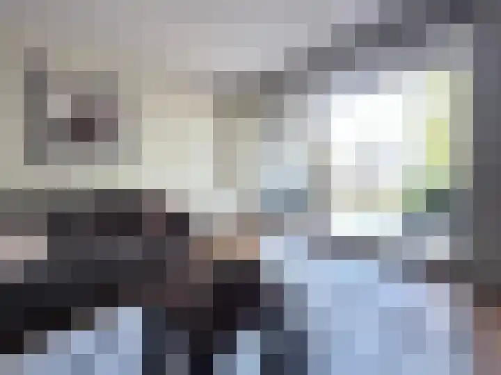 Smalstraat 33 E Oss thumbnail 12