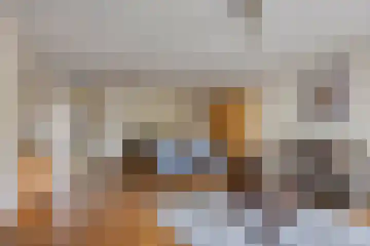 Smalstraat 33 E Oss thumbnail 13
