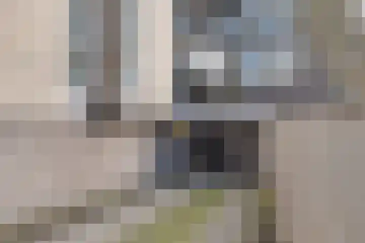 Smalstraat 33 E Oss thumbnail 28