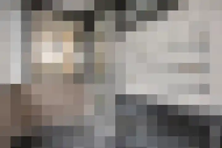 Smalstraat 33 E Oss thumbnail 6