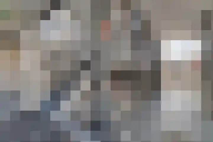 Smalstraat 33 E Oss thumbnail 8