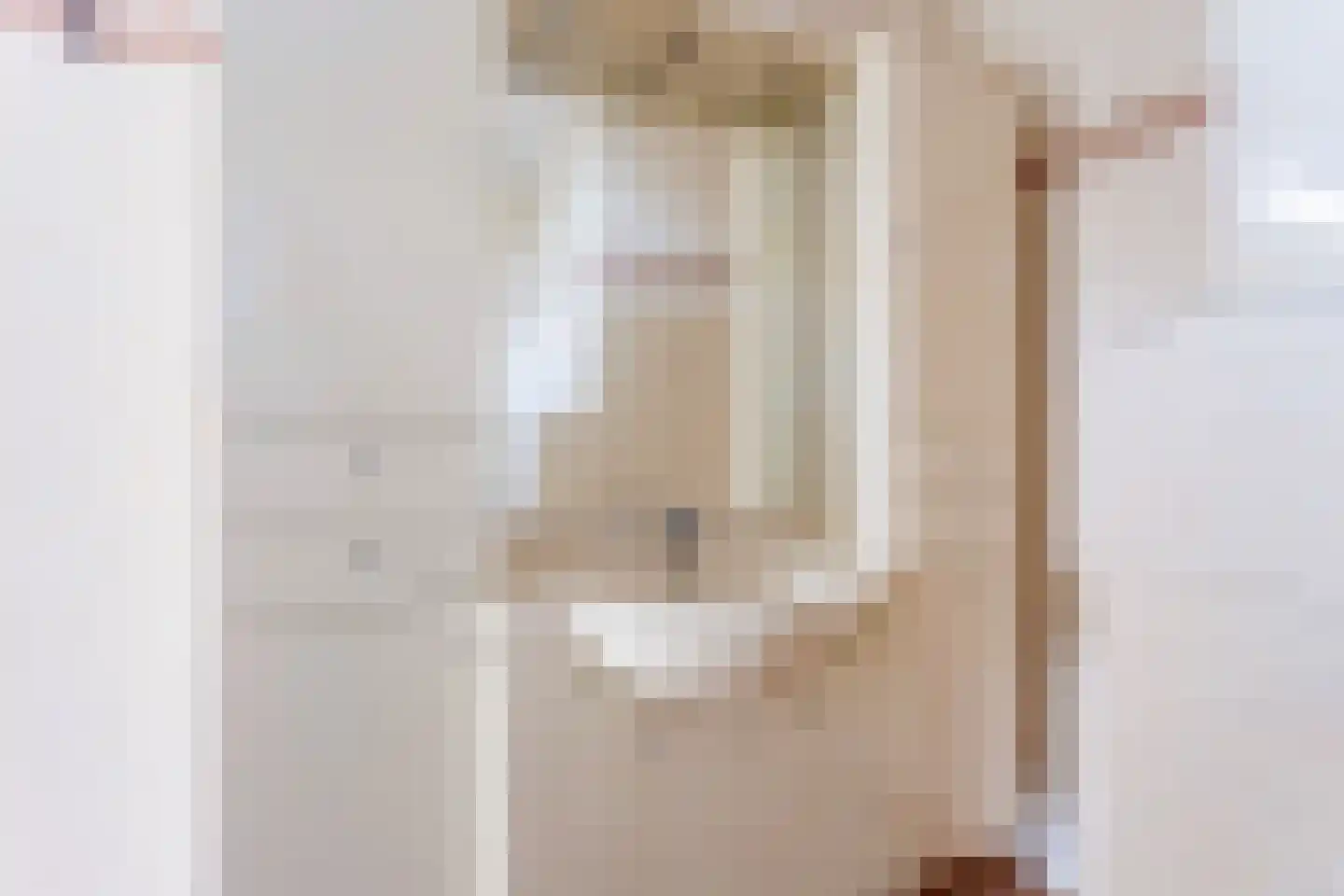 Smalstraat 54 Oss thumbnail 18