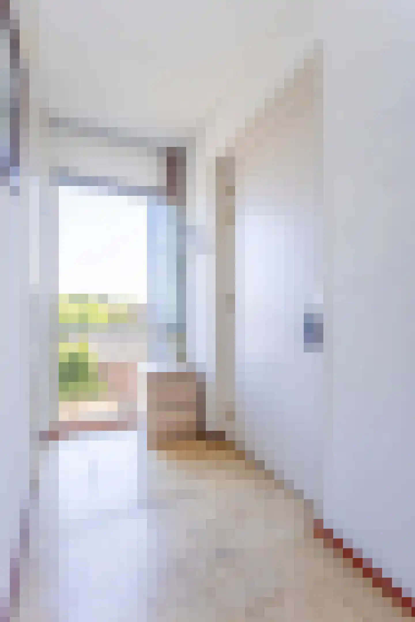 Smalstraat 54 Oss thumbnail 24
