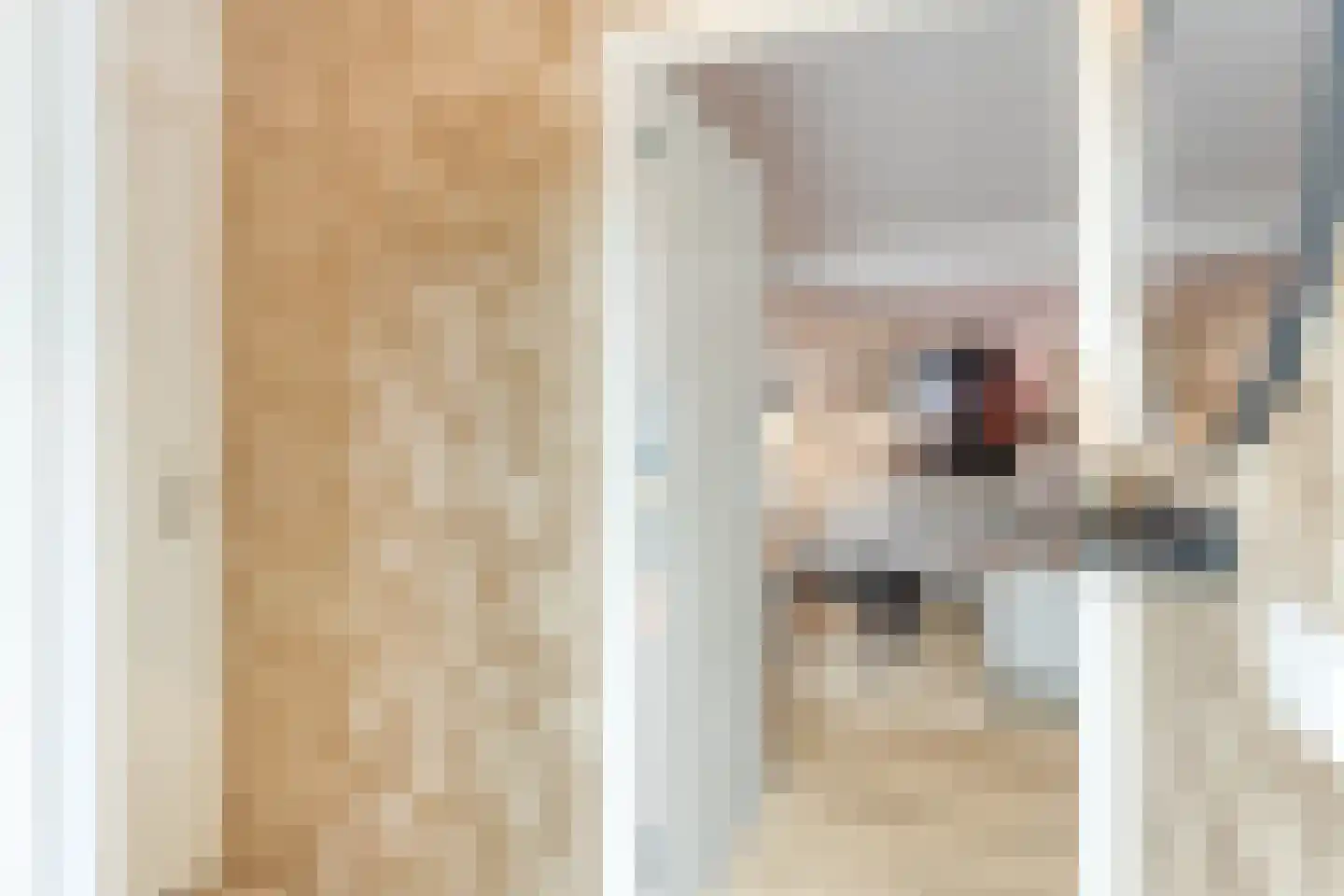 Smalstraat 80 B Oss thumbnail 16