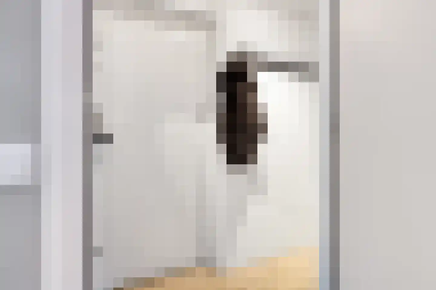 Smalstraat 80 B Oss thumbnail 17