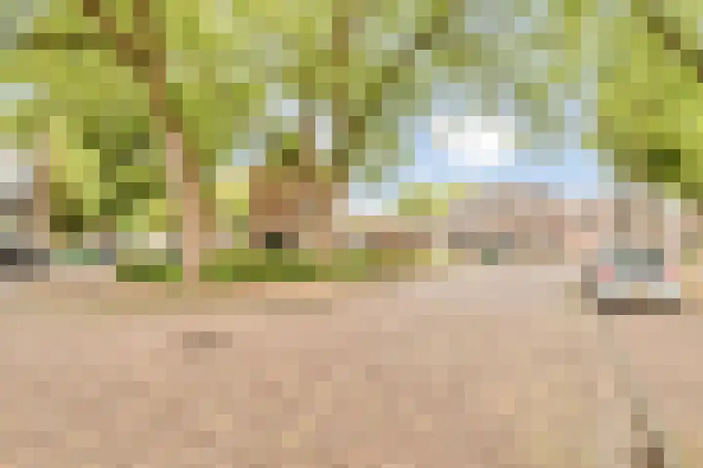 Smalstraat 80 B Oss thumbnail 19