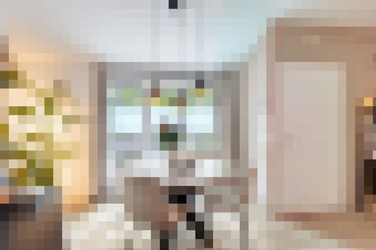 Smalstraat 80 B Oss thumbnail 6