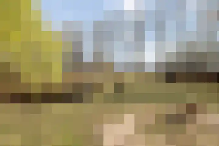 Smalvelderstraat 4 Liempde thumbnail 10