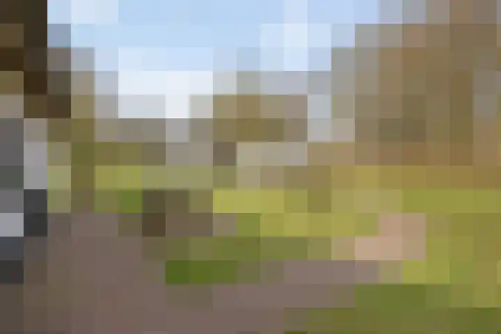 Smalvelderstraat 4 Liempde thumbnail 11