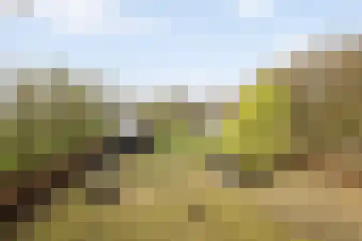 Smalvelderstraat 4 Liempde thumbnail 15