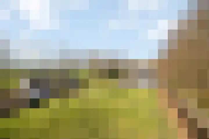 Smalvelderstraat 4 Liempde thumbnail 16