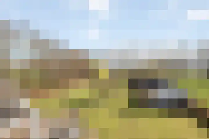 Smalvelderstraat 4 Liempde thumbnail 17