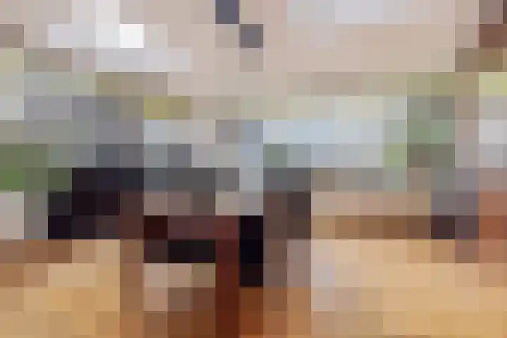 Smalvelderstraat 4 Liempde thumbnail 20