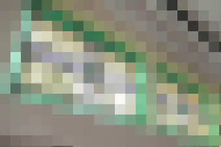 Smalvelderstraat 4 Liempde thumbnail 21
