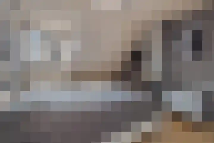Smalvelderstraat 4 Liempde thumbnail 23