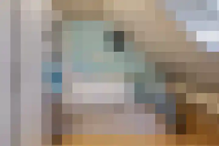 Smalvelderstraat 4 Liempde thumbnail 26