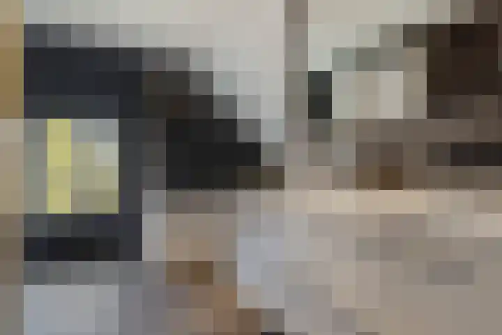 Smalvelderstraat 4 Liempde thumbnail 28