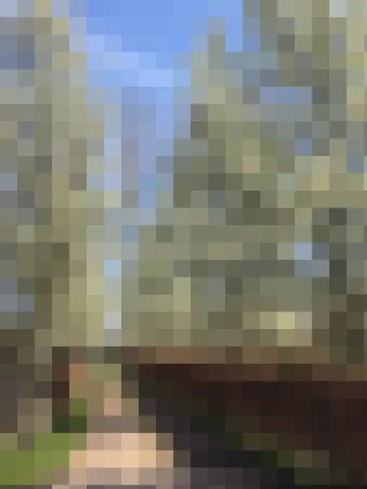 Smalvelderstraat 4 Liempde thumbnail 5