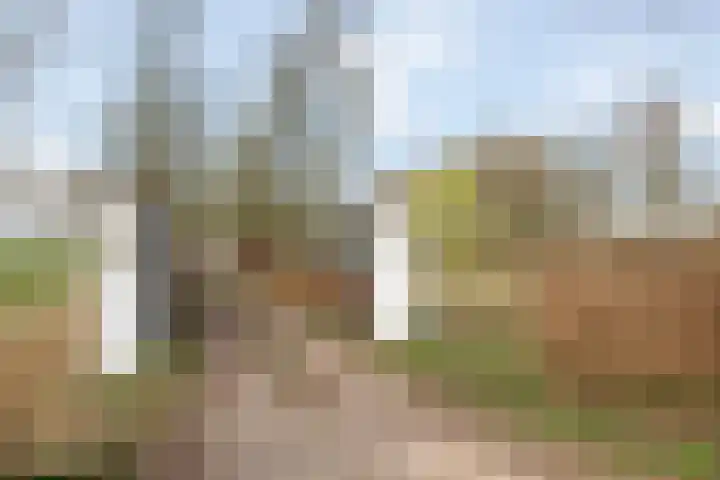 Smalvelderstraat 4 Liempde thumbnail 6