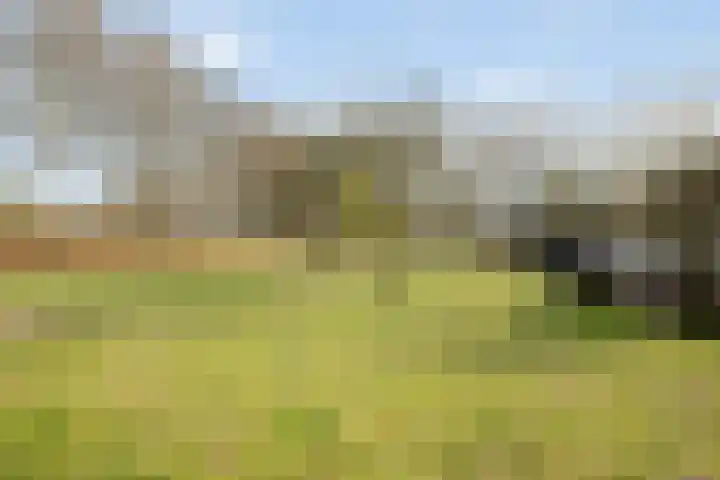 Smalvelderstraat 4 Liempde thumbnail 8