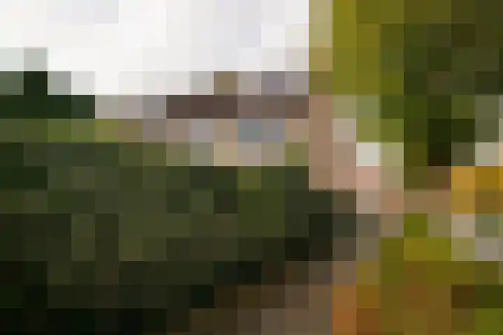 Smalweer 1 Hardinxveld-Giessendam thumbnail 27