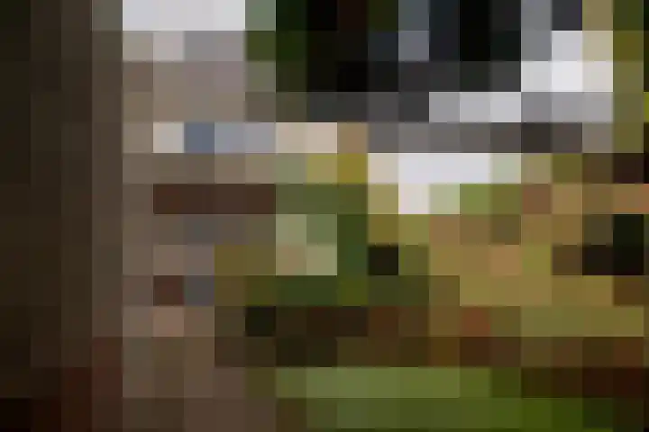 Smalweer 1 Hardinxveld-Giessendam thumbnail 29