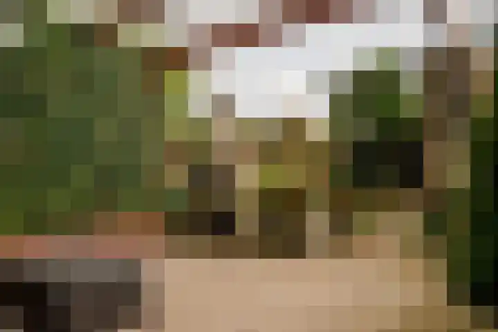 Smalweer 1 Hardinxveld-Giessendam thumbnail 30