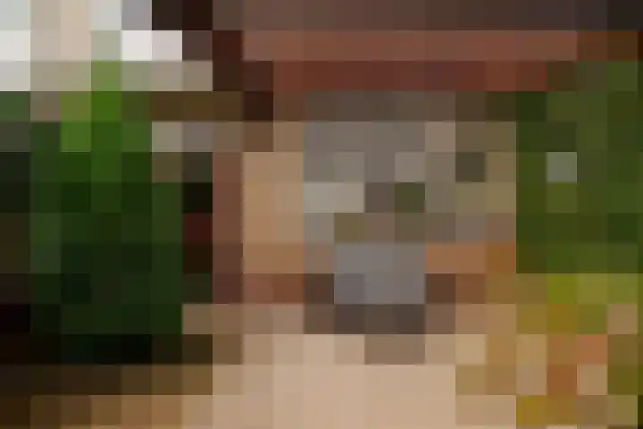 Smalweer 1 Hardinxveld-Giessendam thumbnail 32
