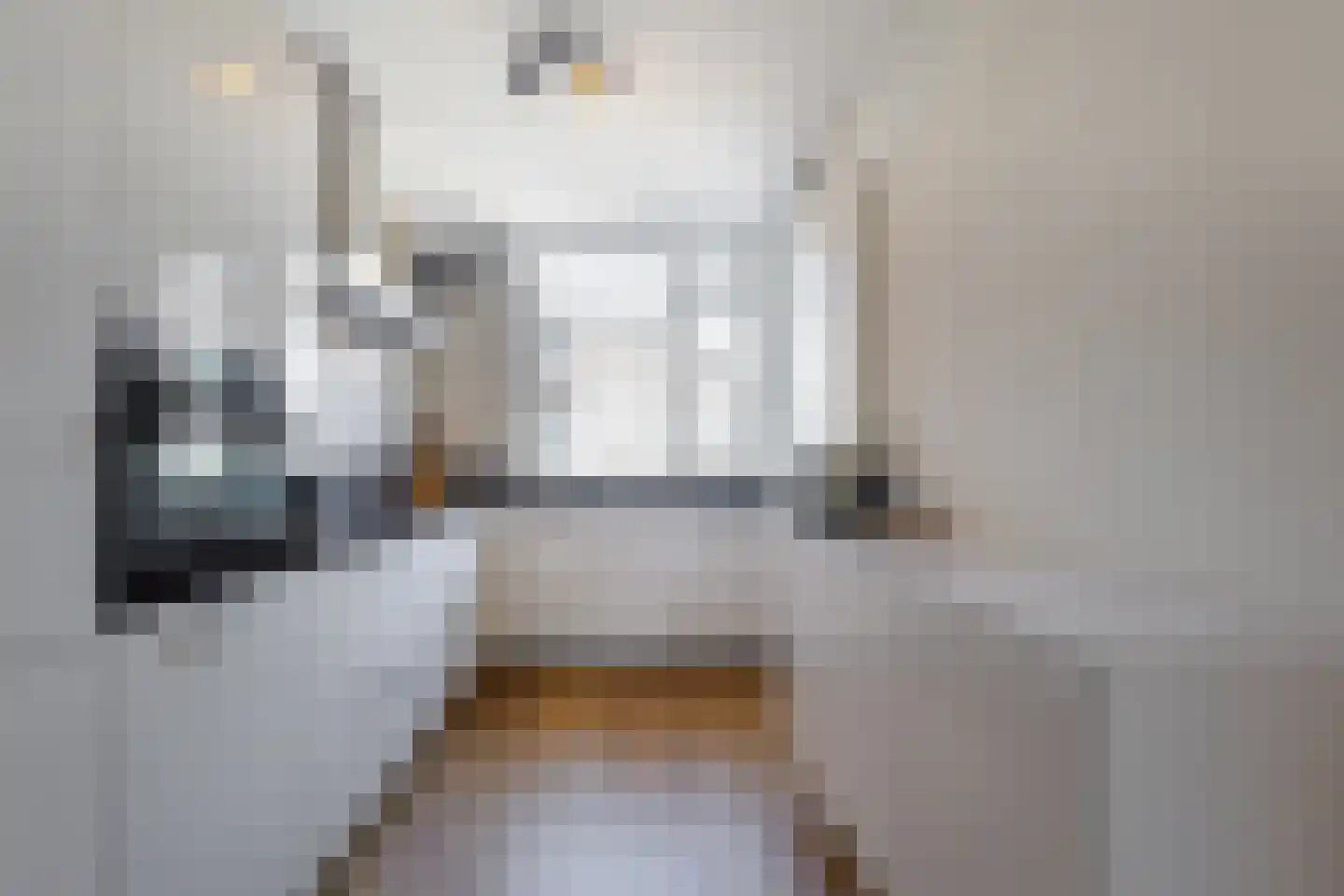 Smalweer 14 Sliedrecht thumbnail 10