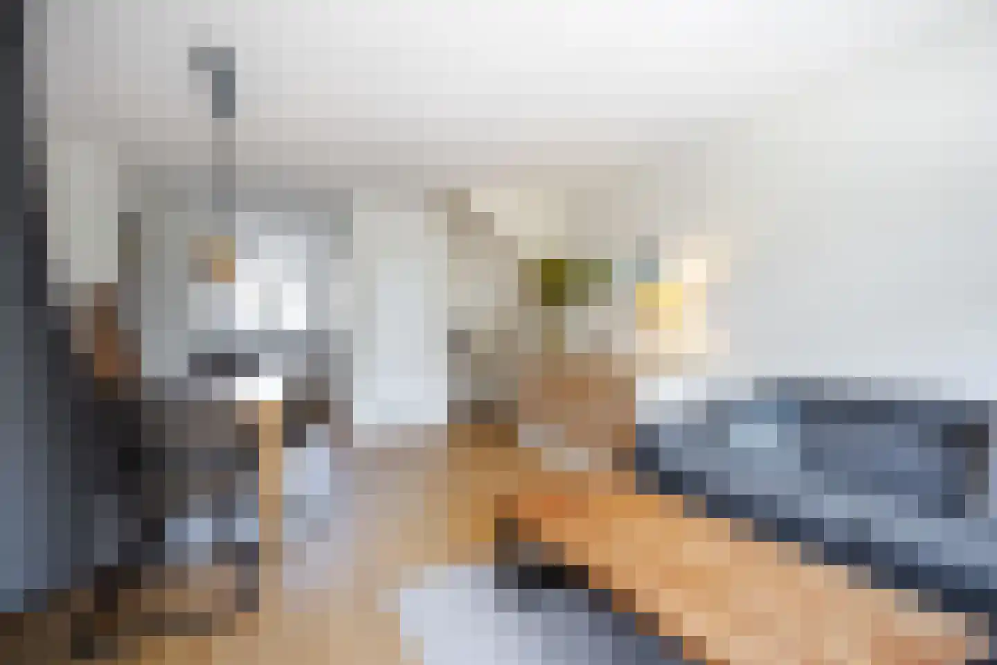 Smalweer 14 Sliedrecht thumbnail 4