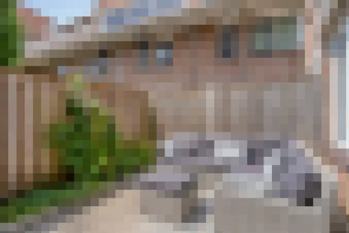 Smalweer 23 Sliedrecht thumbnail 17