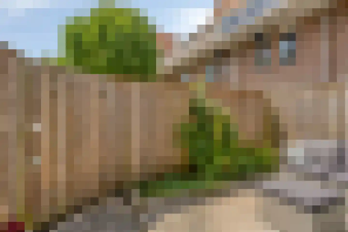Smalweer 23 Sliedrecht thumbnail 18
