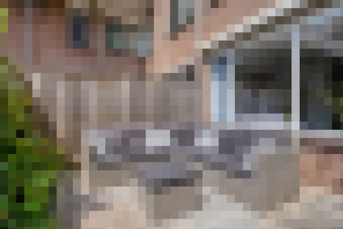Smalweer 23 Sliedrecht thumbnail 19