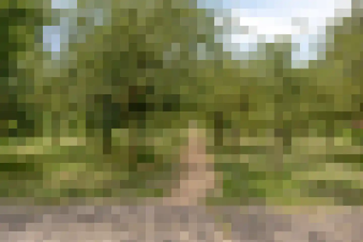 Smalweer 23 Sliedrecht thumbnail 24
