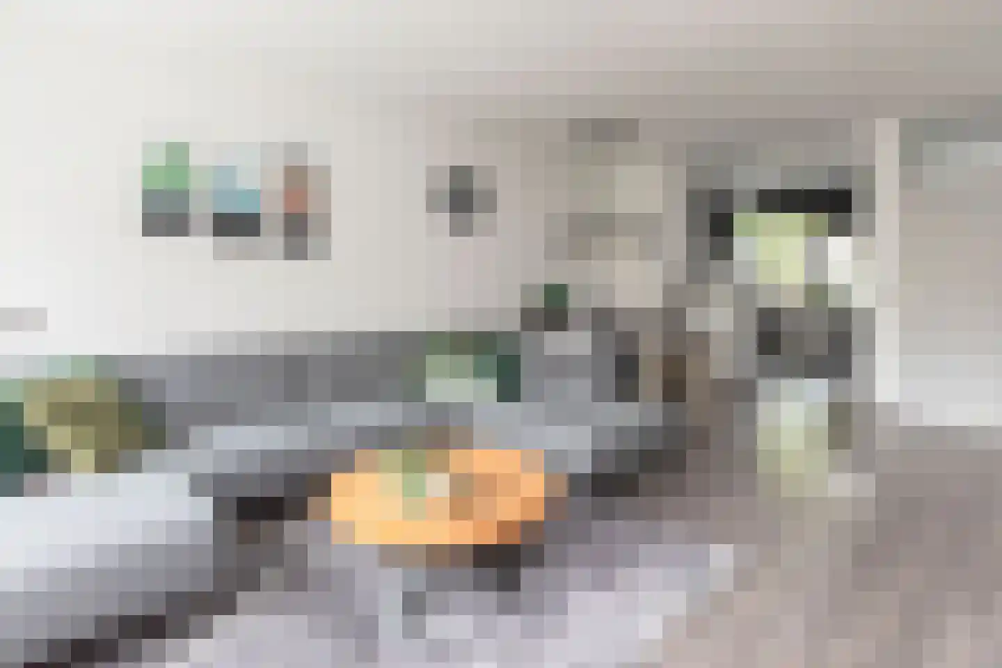 Smalweer 45 Sliedrecht thumbnail 10